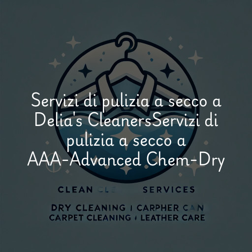 Servizi di pulizia a secco a
