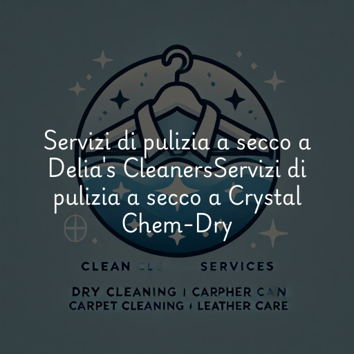Servizi di pulizia a secco a