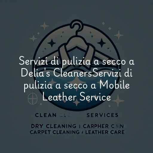 Servizi di pulizia a secco a