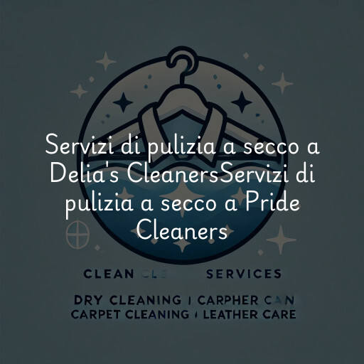 Servizi di pulizia a secco a