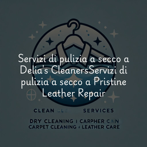 Servizi di pulizia a secco a