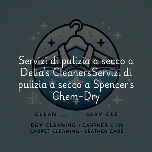 Servizi di pulizia a secco a