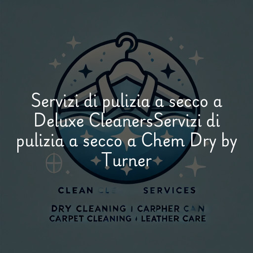 Servizi di pulizia a secco a