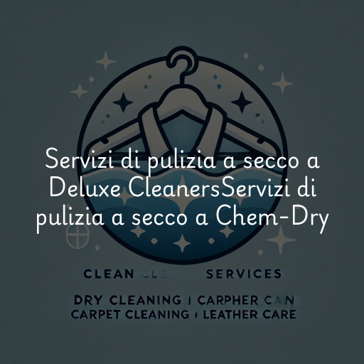 Servizi di pulizia a secco a