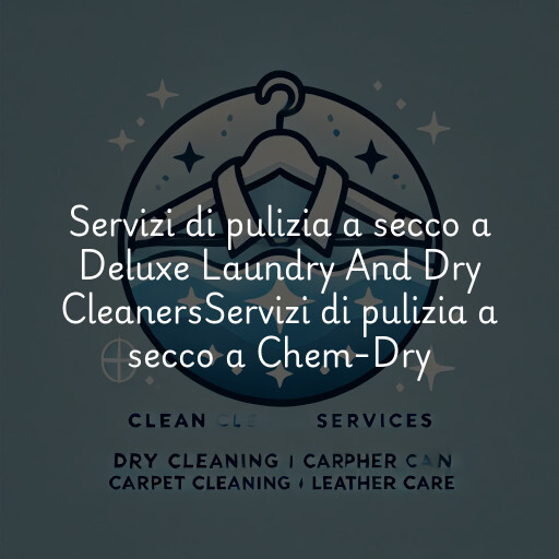 Servizi di pulizia a secco a