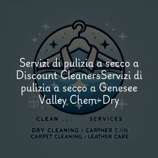 Servizi di pulizia a secco a
