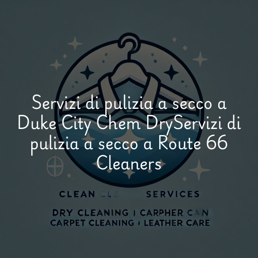 Servizi di pulizia a secco a