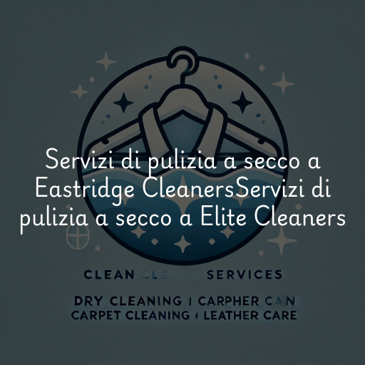 Servizi di pulizia a secco a