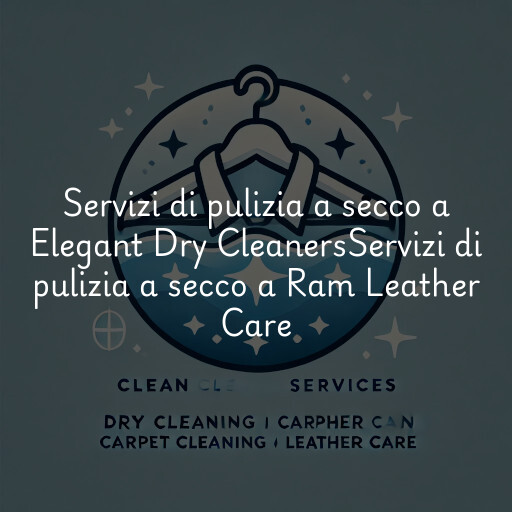 Servizi di pulizia a secco a