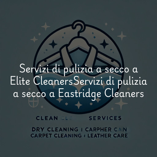 Servizi di pulizia a secco a