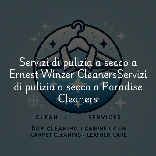 Servizi di pulizia a secco a