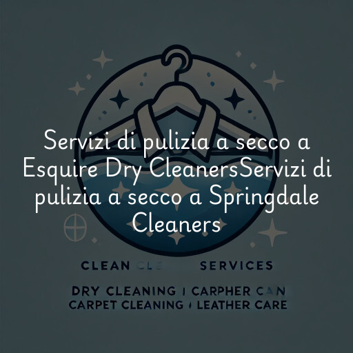 Servizi di pulizia a secco a