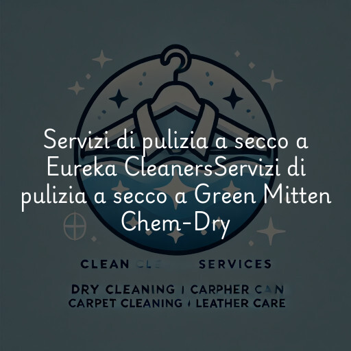 Servizi di pulizia a secco a