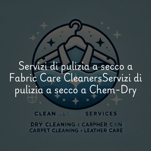 Servizi di pulizia a secco a