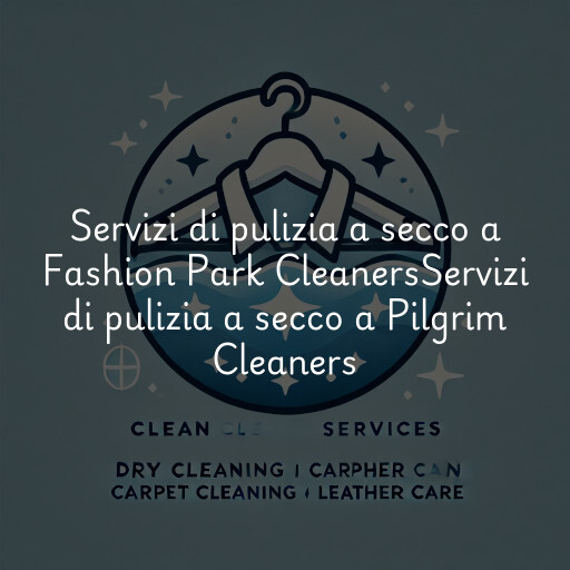 Servizi di pulizia a secco a