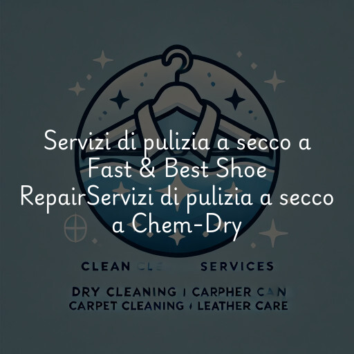 Servizi di pulizia a secco a