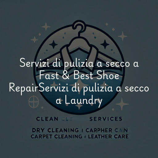 Servizi di pulizia a secco a