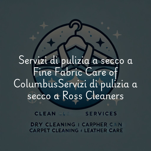 Servizi di pulizia a secco a
