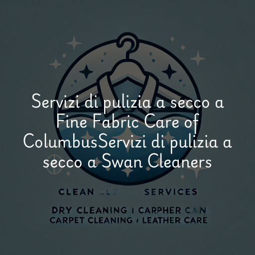 Servizi di pulizia a secco a