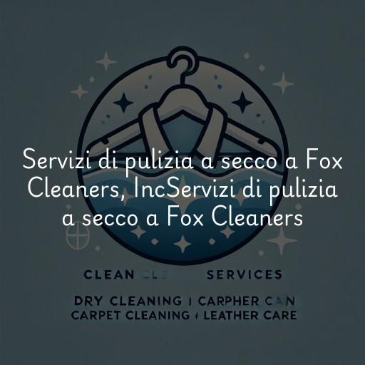 Servizi di pulizia a secco a