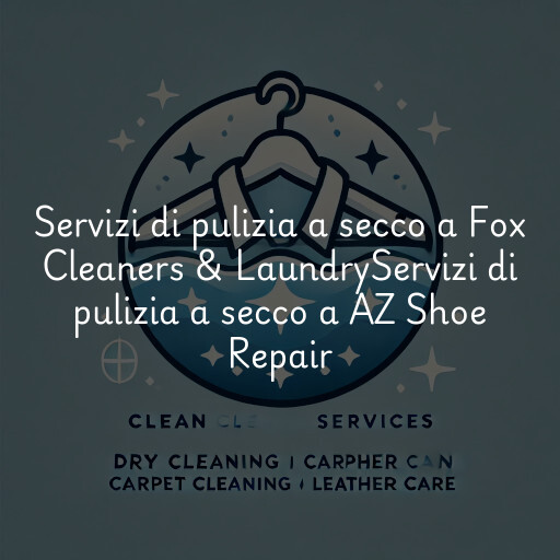 Servizi di pulizia a secco a