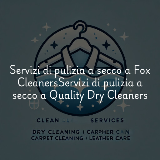 Servizi di pulizia a secco a