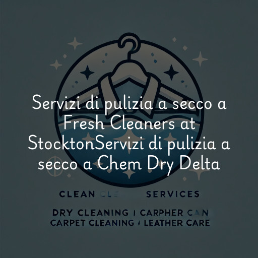 Servizi di pulizia a secco a