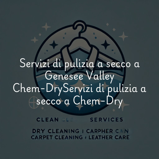 Servizi di pulizia a secco a
