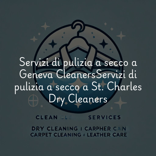Servizi di pulizia a secco a