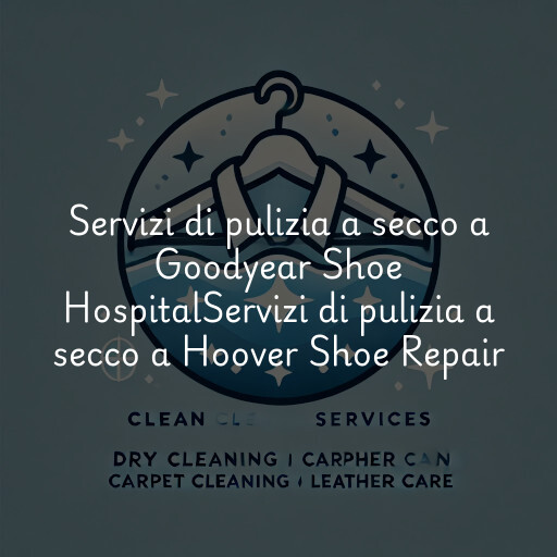 Servizi di pulizia a secco a