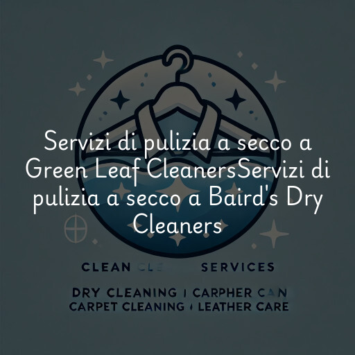 Servizi di pulizia a secco a