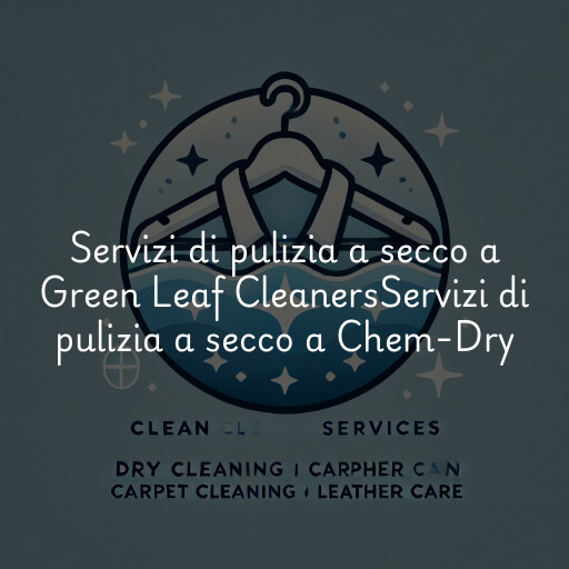 Servizi di pulizia a secco a