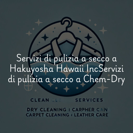 Servizi di pulizia a secco a