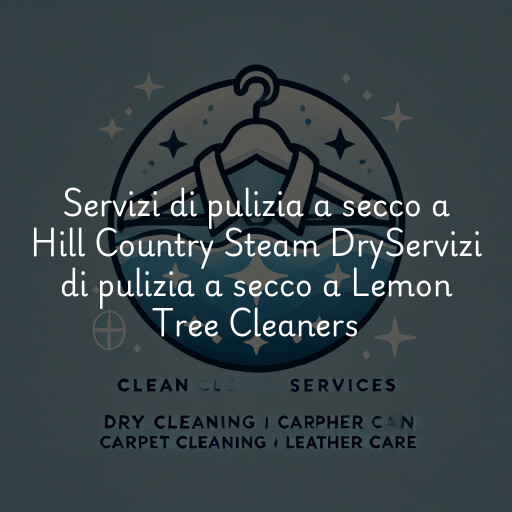 Servizi di pulizia a secco a