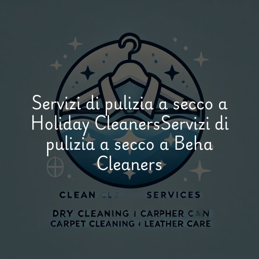 Servizi di pulizia a secco a