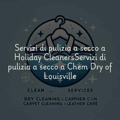 Servizi di pulizia a secco a