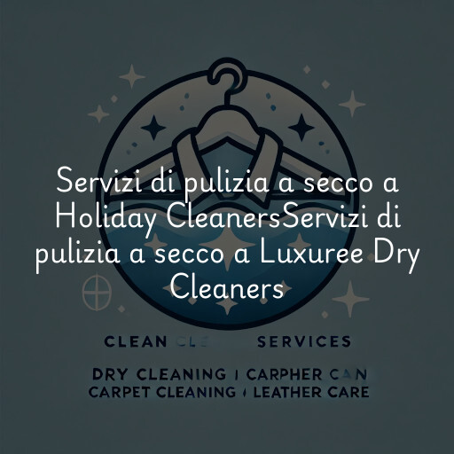 Servizi di pulizia a secco a