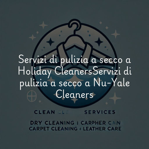 Servizi di pulizia a secco a