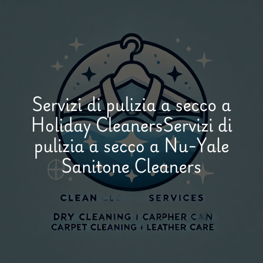 Servizi di pulizia a secco a