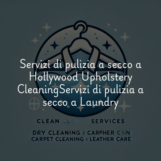 Servizi di pulizia a secco a