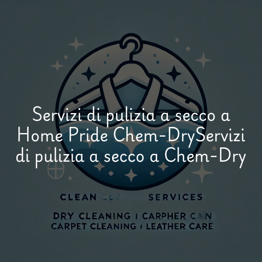 Servizi di pulizia a secco a