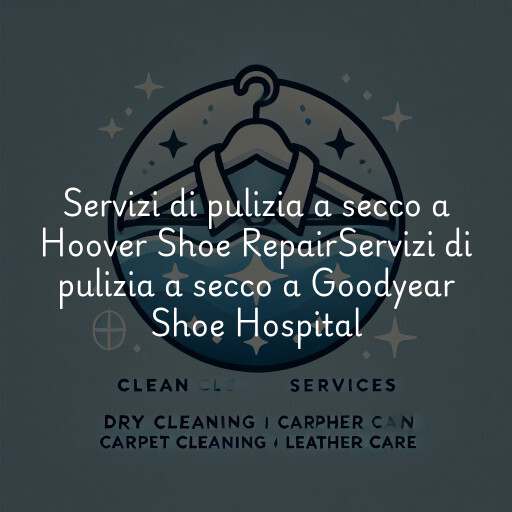 Servizi di pulizia a secco a