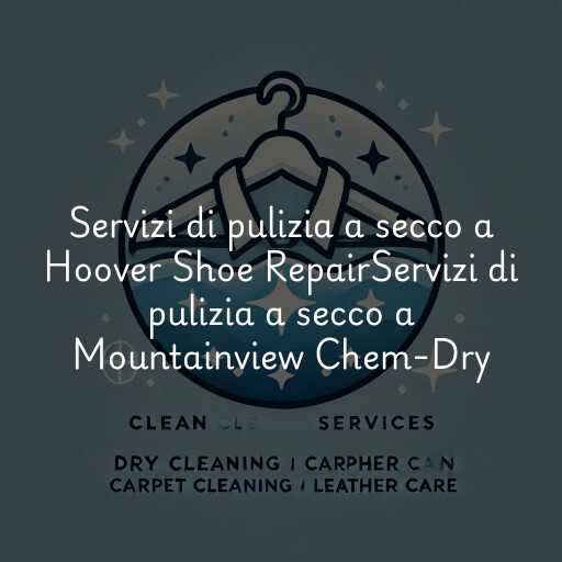 Servizi di pulizia a secco a