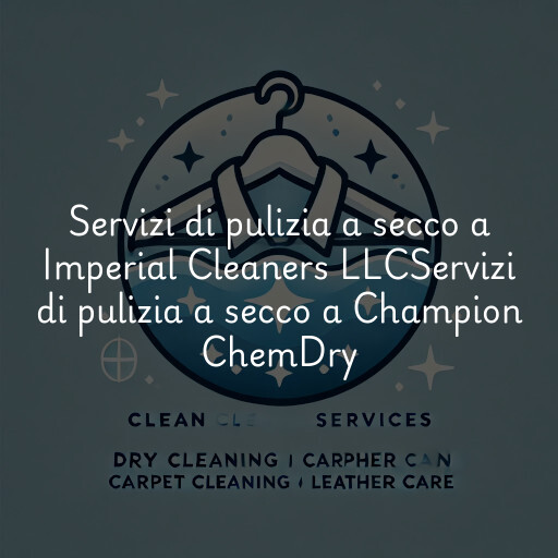 Servizi di pulizia a secco a