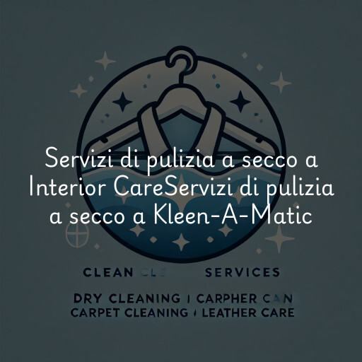 Servizi di pulizia a secco a