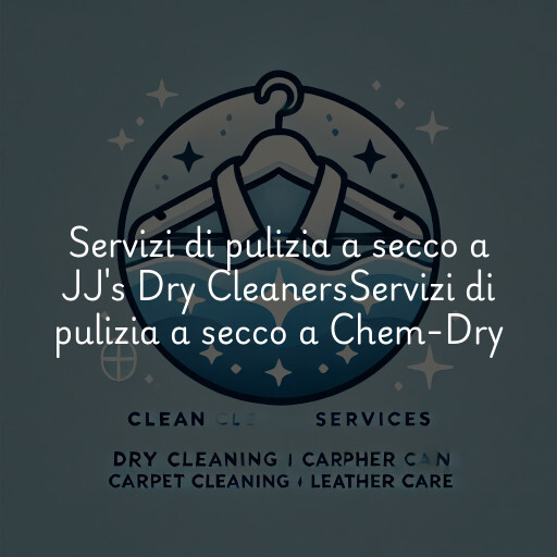 Servizi di pulizia a secco a
