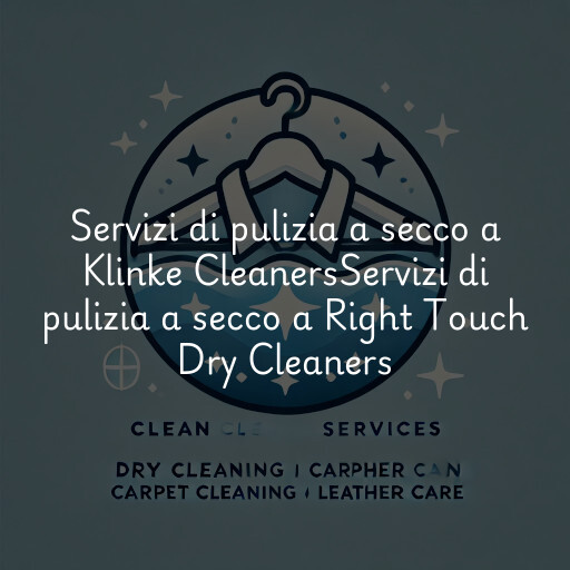 Servizi di pulizia a secco a