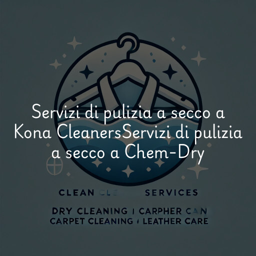 Servizi di pulizia a secco a