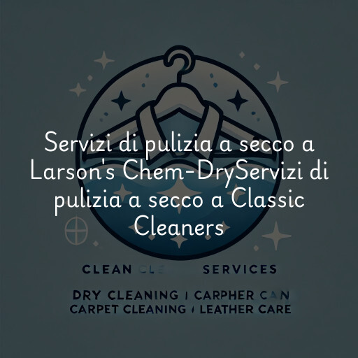 Servizi di pulizia a secco a