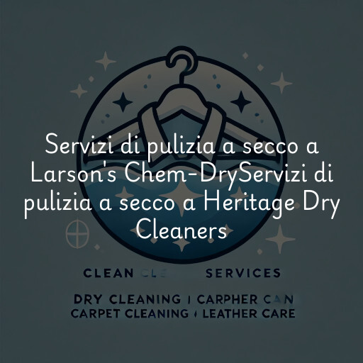 Servizi di pulizia a secco a